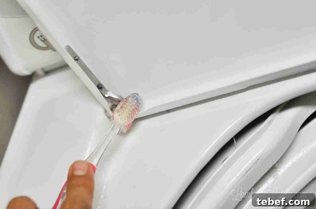 Deep Clean Your Top-Loading Washing Machine: Step-by-Step Guide 8 cleaning brackets of a washing machine door with a toothbrush.