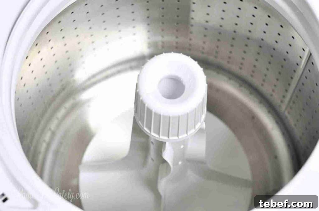 Deep Clean Your Top-Loading Washing Machine: Step-by-Step Guide 9 inside drum of a speed queen washer.