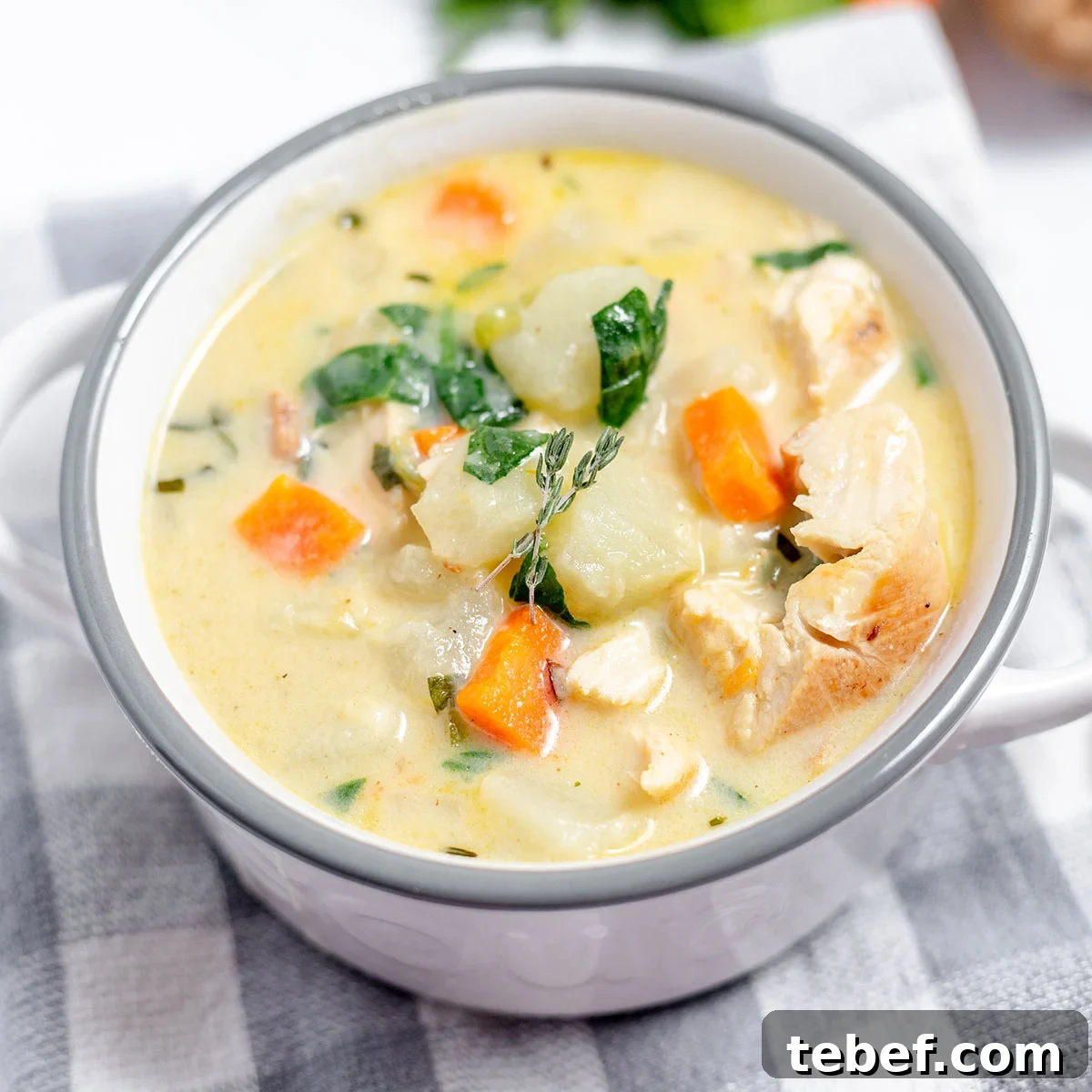 Hearty Chicken and Potato Soup Recipe for Cozy Weeknights 2 A serving of Chicken Potato Soup in a bowl.