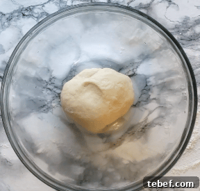 Blackberry Lemon Sweet Rolls Recipe — Soft Citrus-Rolled Buns 4 dough and filling