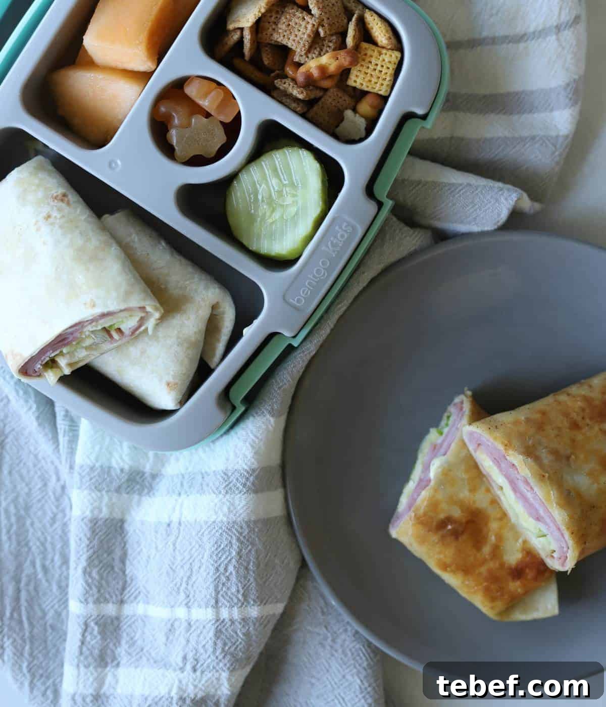 Classic Ham and Cheese Wrap Recipe for Quick Lunch or Snack 2 Ham and cheese wrap in lunch box.