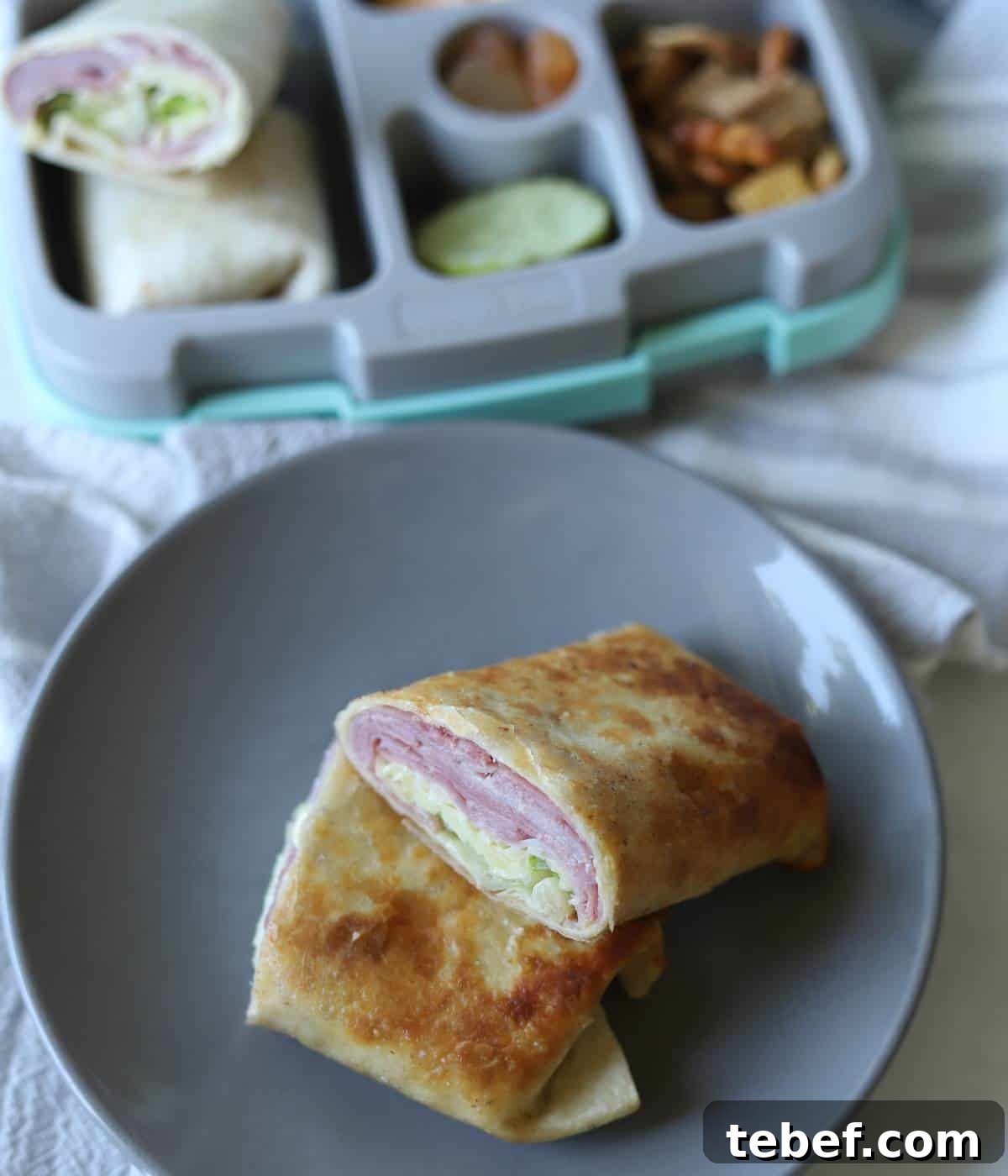 Classic Ham and Cheese Wrap Recipe for Quick Lunch or Snack 9 Hot ham and cheese wrap on plate.