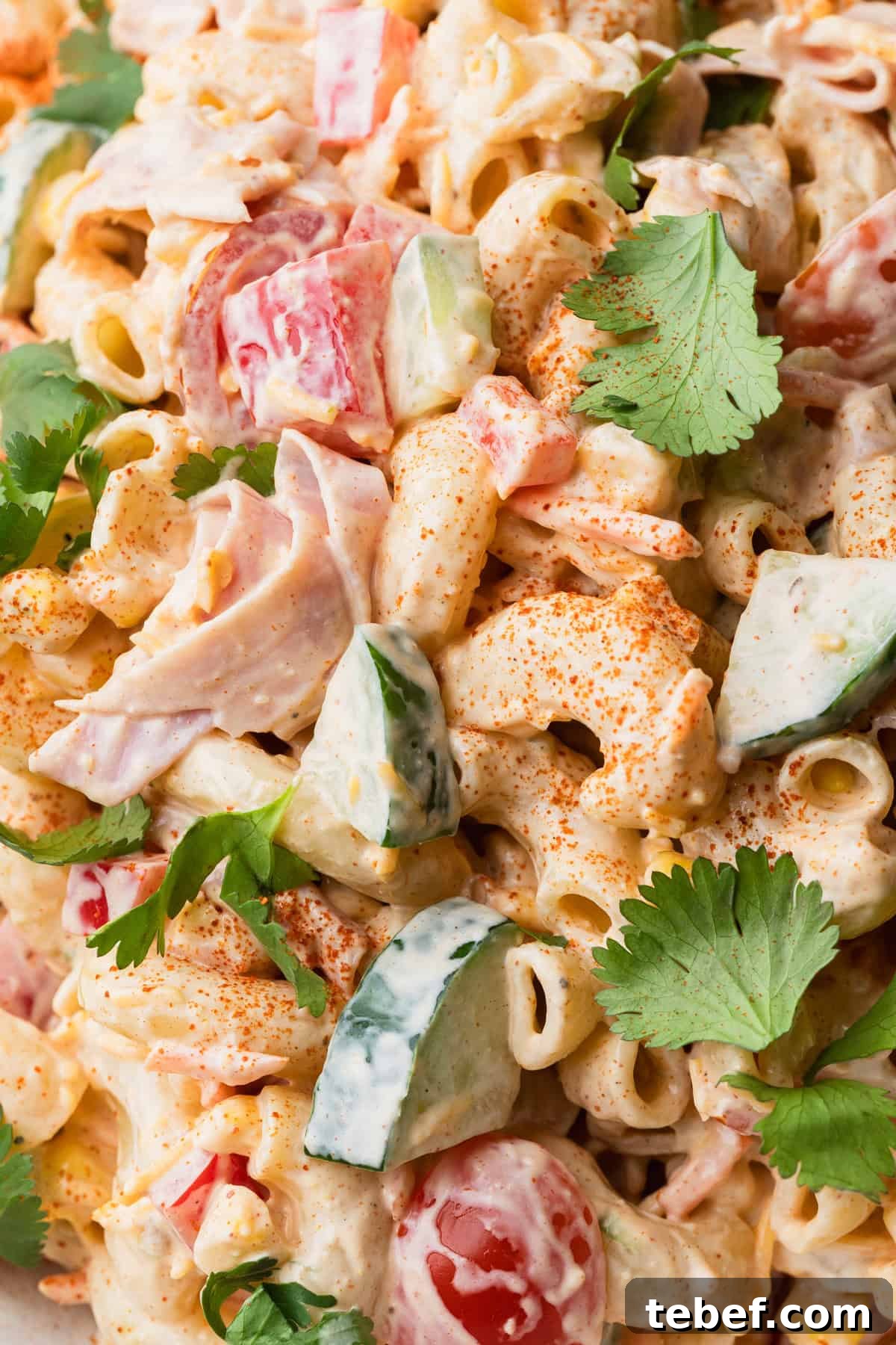 Mexican Macaroni Salad with Ham and Creamy Pepita Dressing 11 Mexican macaroni pasta salad.