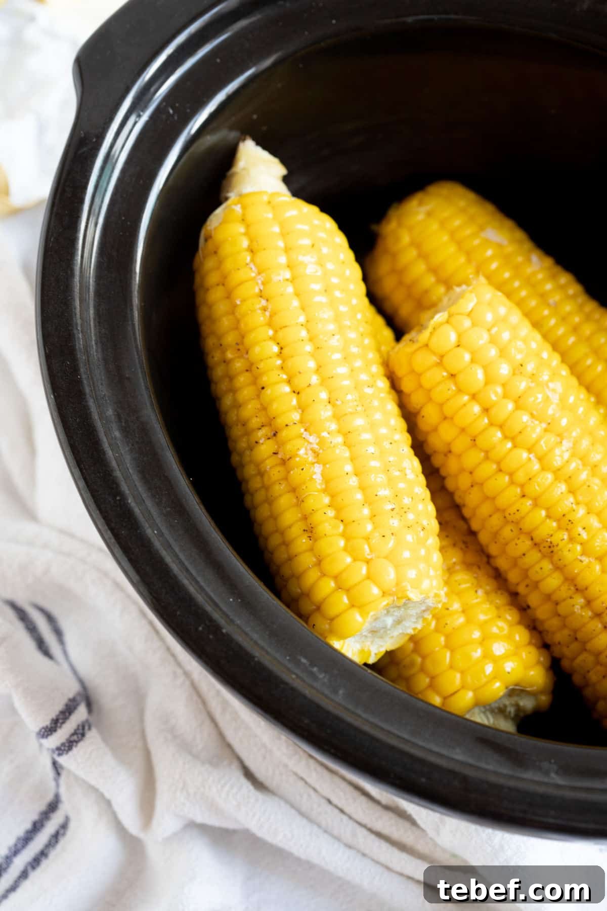 Slow Cooker Corn on the Cob: Tender, Juicy Crockpot Recipe 6 Corn on the cob in slow cooker.