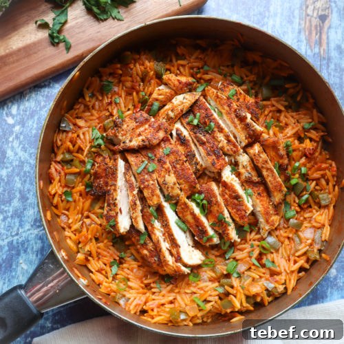 Cajun chicken orzo