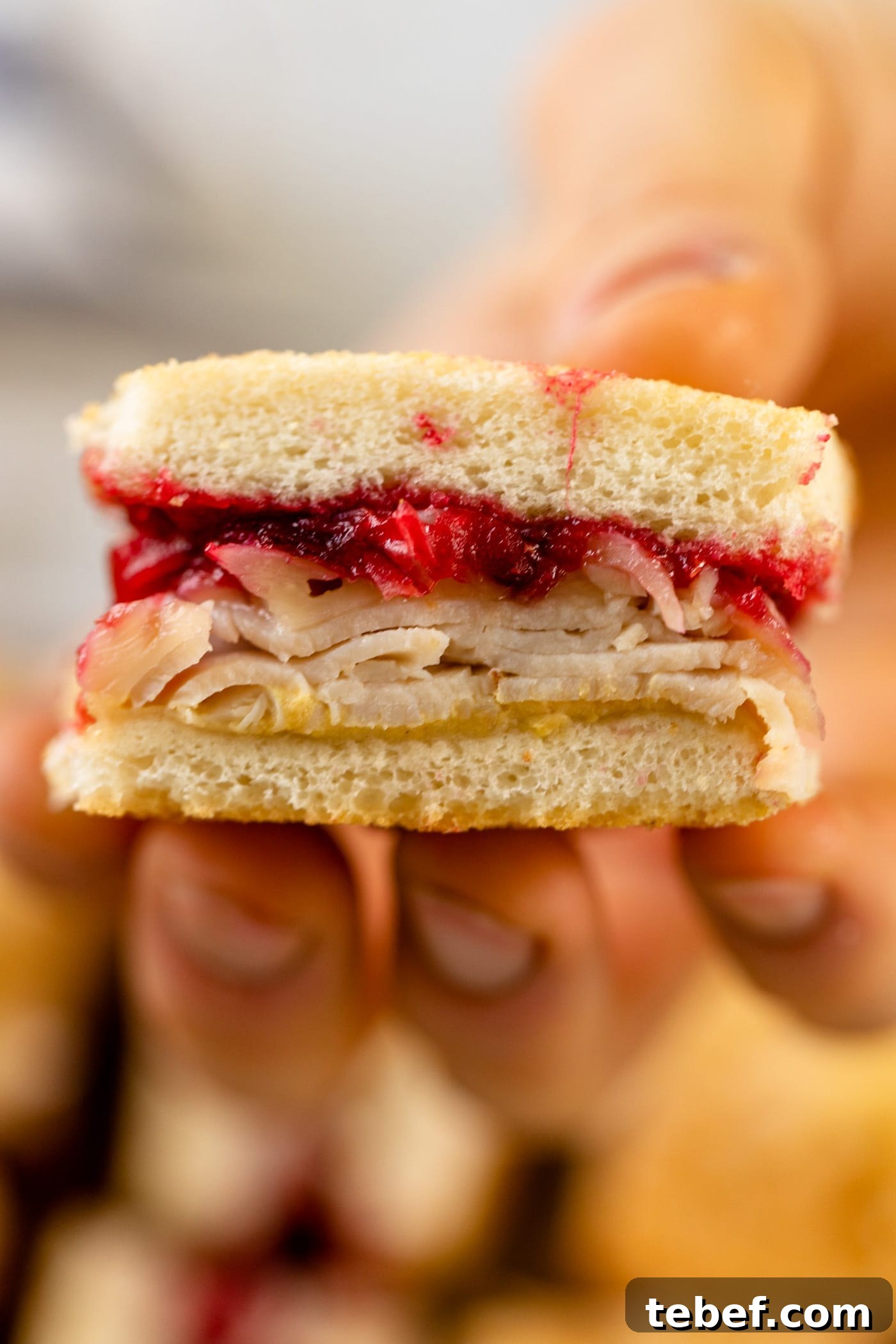 Turkey and Cranberry Croque Monsieur Recipe for Holiday Sandwiches 4 Turkey cranberry croque monsieur held up to viewer with layers of turkey and cranberry jam with extra pieces of sandwich in background