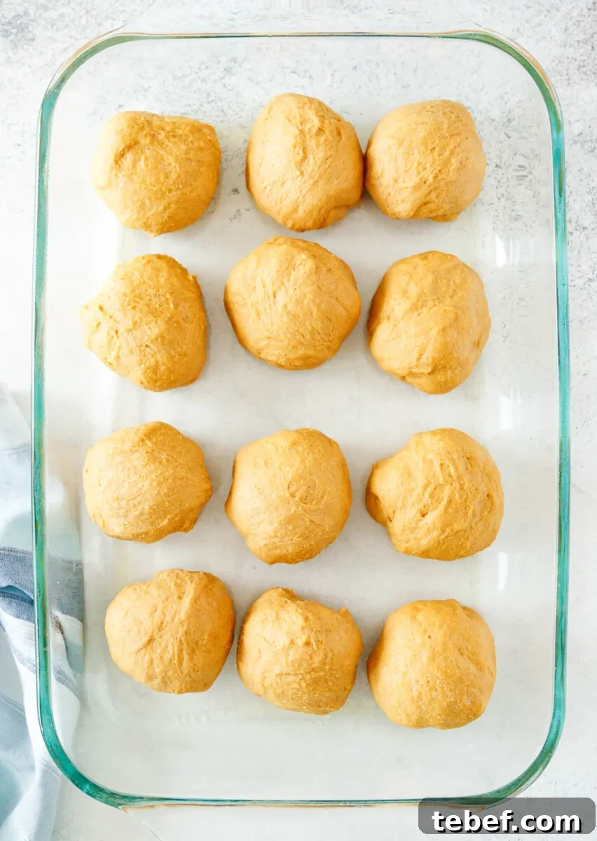 Rolls in the pan, ready to bake