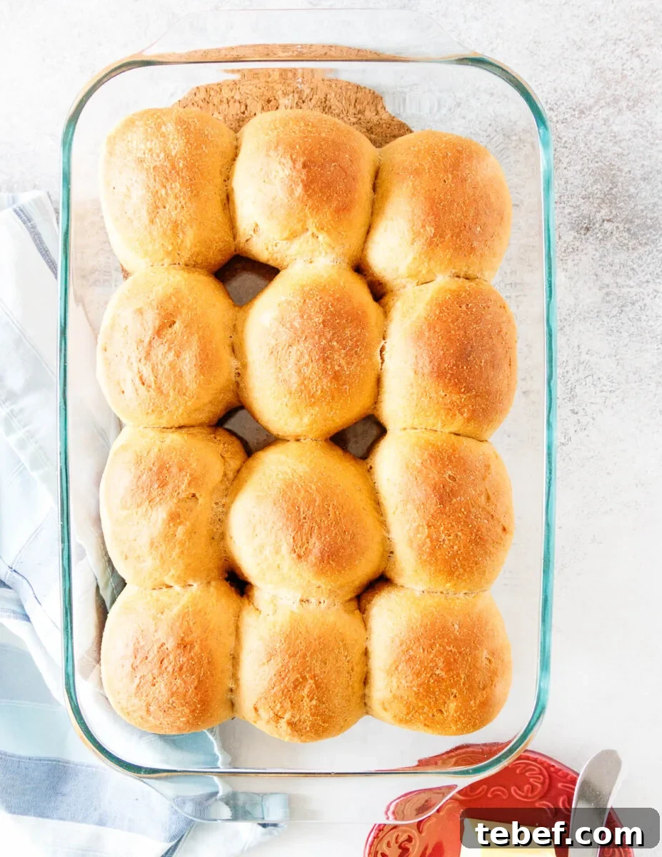 baked anadama rolls top view
