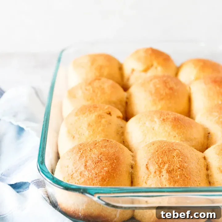 baked rolls in a glass dish