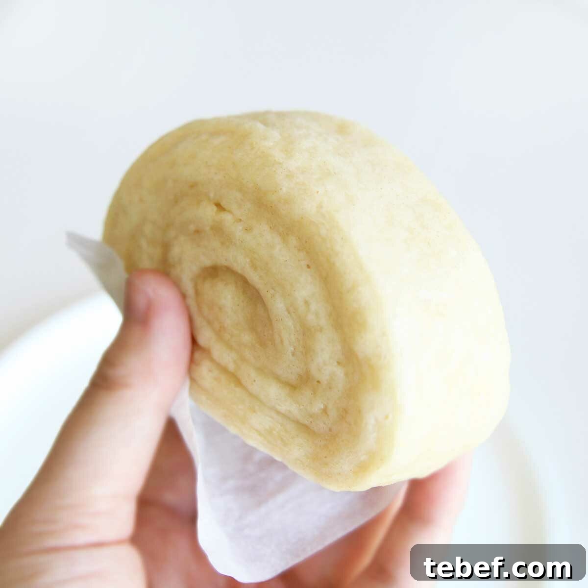 yeasted tofu mantou steamed bread