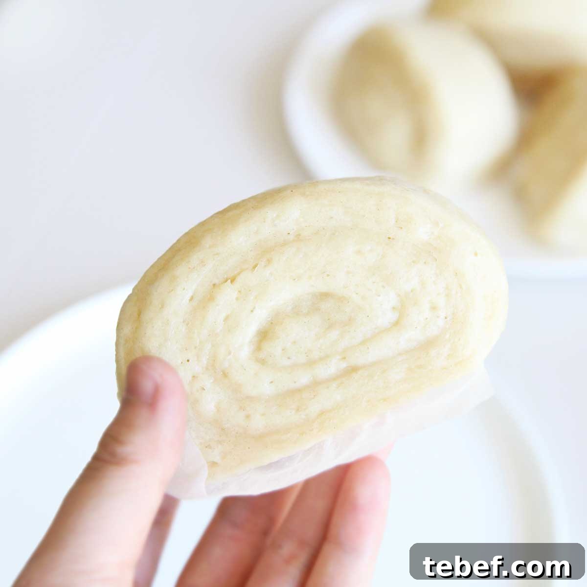 yeasted tofu mantou steamed bread