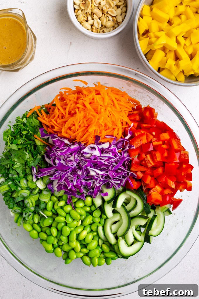 Thai Kale Salad with Creamy Peanut Dressing 8 All of the veggies arranged in a rainbow in the mixing bowl for kale thai salad.
