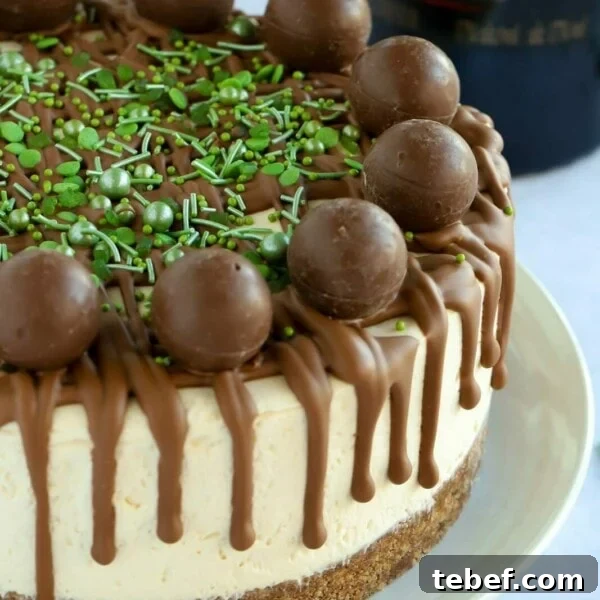 Slow Cooker Chocolate Orange Pudding Recipe 11 Baileys cheesecake No bake recipe