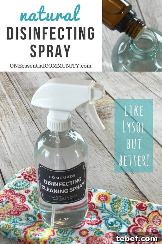 DIY Disinfecting Cleaning Spray Recipe That Kills Germs 10 DIY disinfecting spray recipe