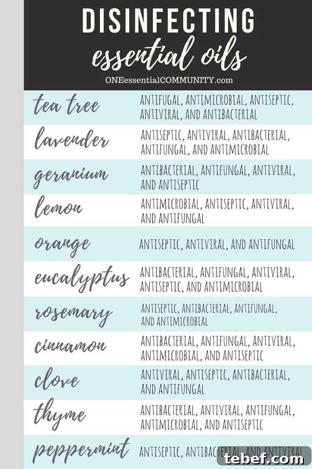 DIY Disinfecting Cleaning Spray Recipe That Kills Germs 3 list of disinfecting essential oils