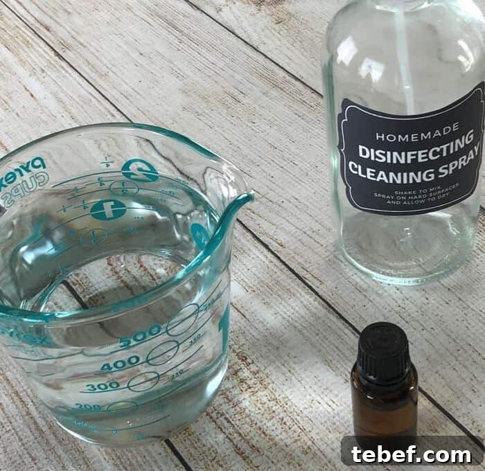 DIY Disinfecting Cleaning Spray Recipe That Kills Germs 5 ingredients for homemade disinfecting spray
