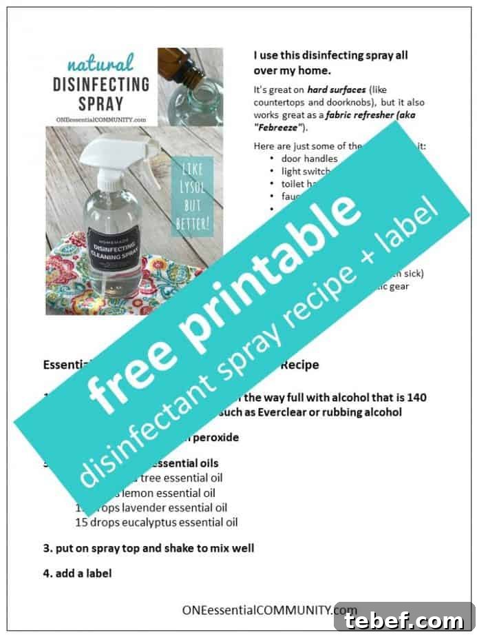 DIY Disinfecting Cleaning Spray Recipe That Kills Germs 9 free printable of disinfecting spray recipe