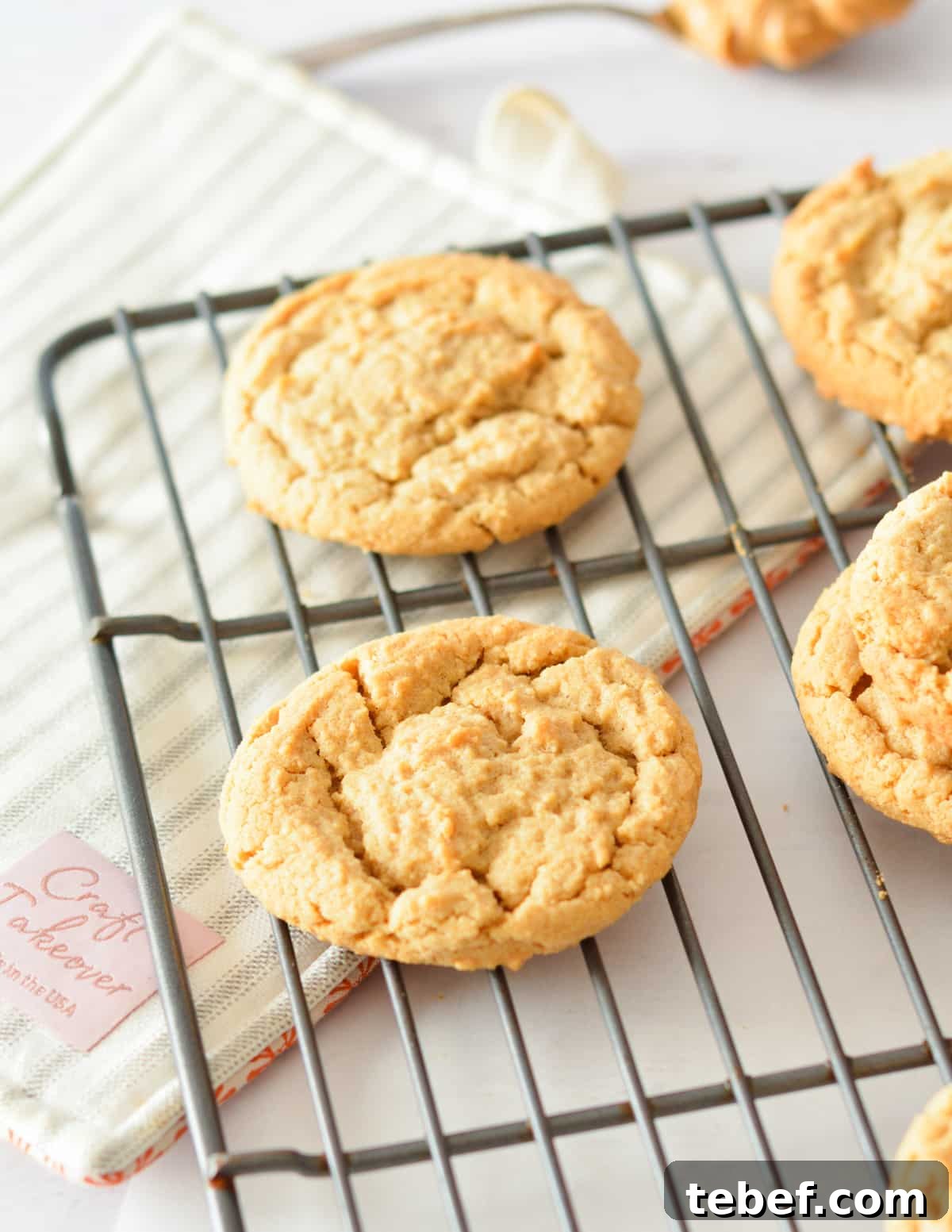 Irresistibly Chewy Peanut Butter Cookie Recipe 2 peanut butter cookies on a wire rack.