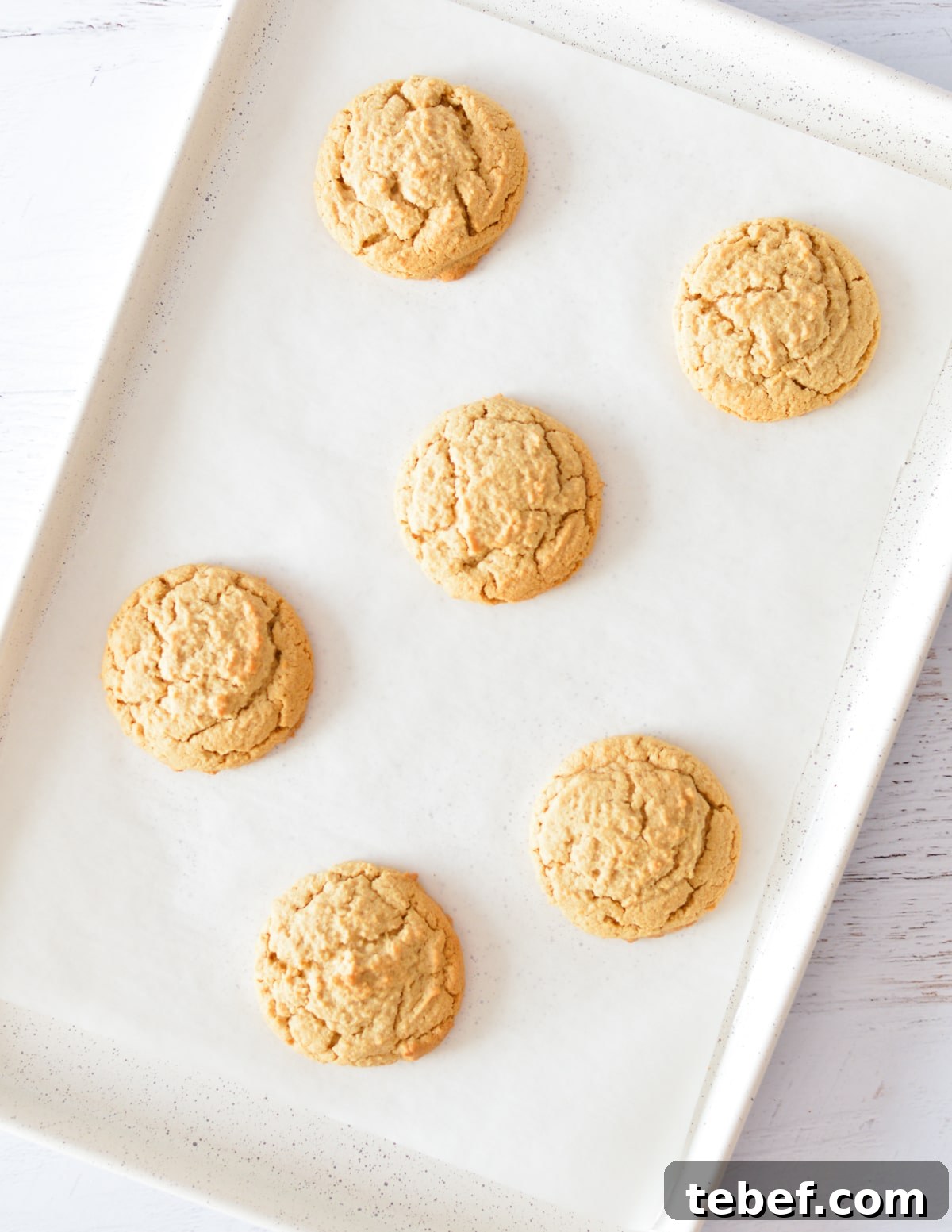 Irresistibly Chewy Peanut Butter Cookie Recipe 10 peanut butter cookies on a sheet pan.