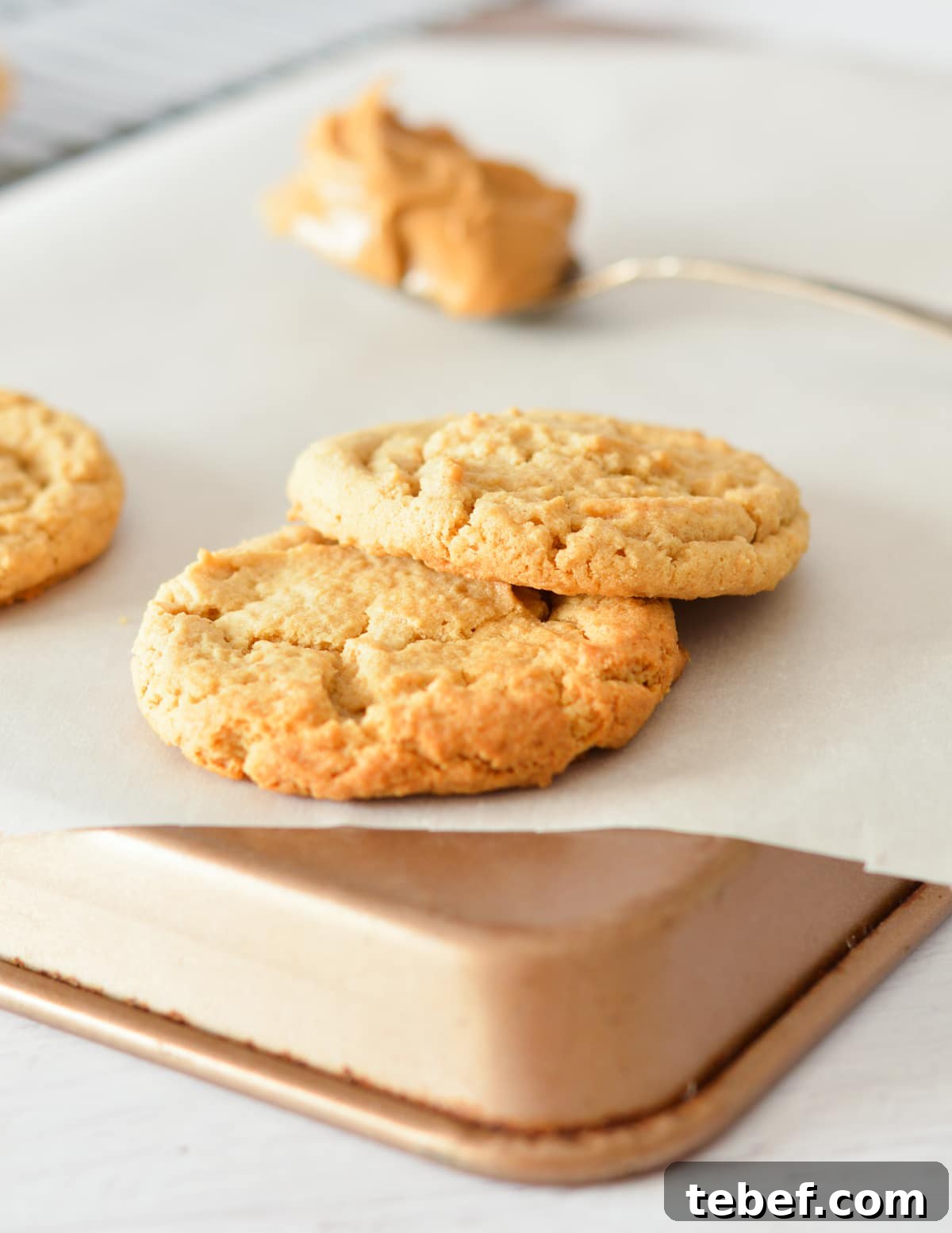 Irresistibly Chewy Peanut Butter Cookie Recipe 11 two peanut butter cookies on a sheet pan.