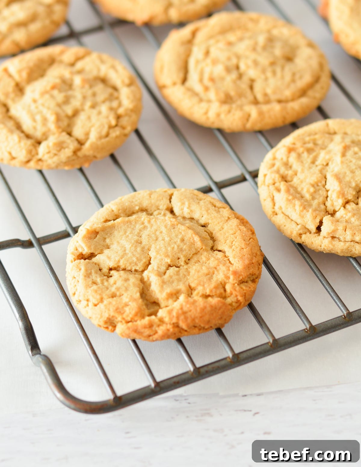 Irresistibly Chewy Peanut Butter Cookie Recipe 13 peanut butter cookies on a cooling rack.