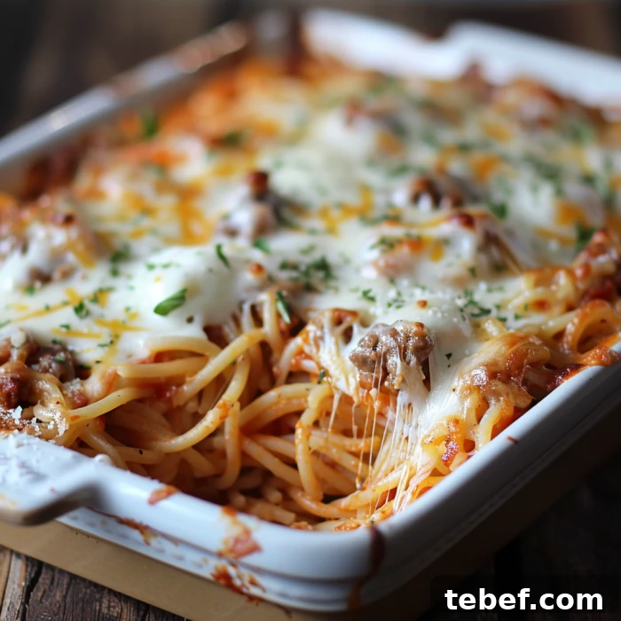 Cream Cheese Baked Spaghetti with Golden Crispy Top 3 Creamy spaghetti bake