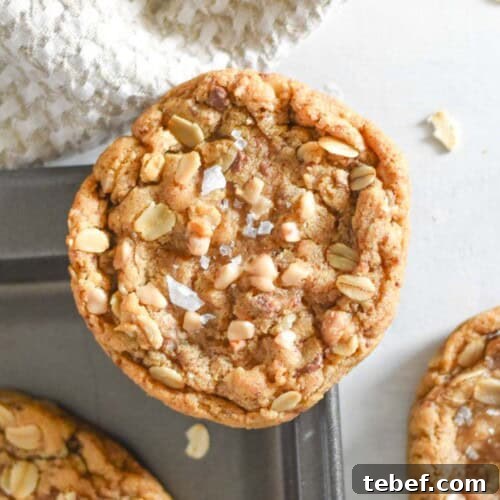 oatmeal cookie on corner of baking sheet.