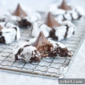 Cocoa Blossom Cookies Recipe: Crispy Chocolate Flower Cookies 15 cookie on cooling rack with bite out of it.