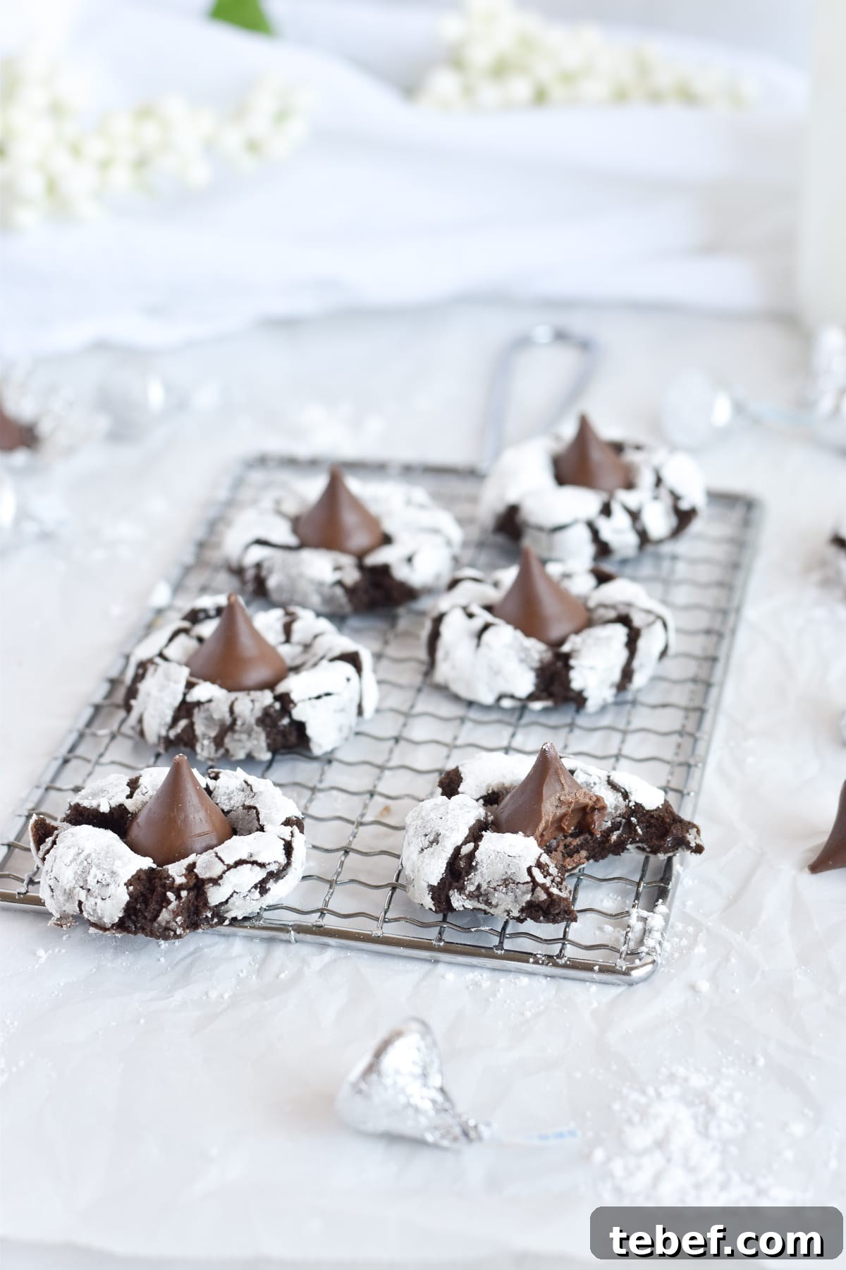 Cocoa Blossom Cookies Recipe: Crispy Chocolate Flower Cookies 8 chocolate cookies on small wire cooling rack, one with a bite out of it.