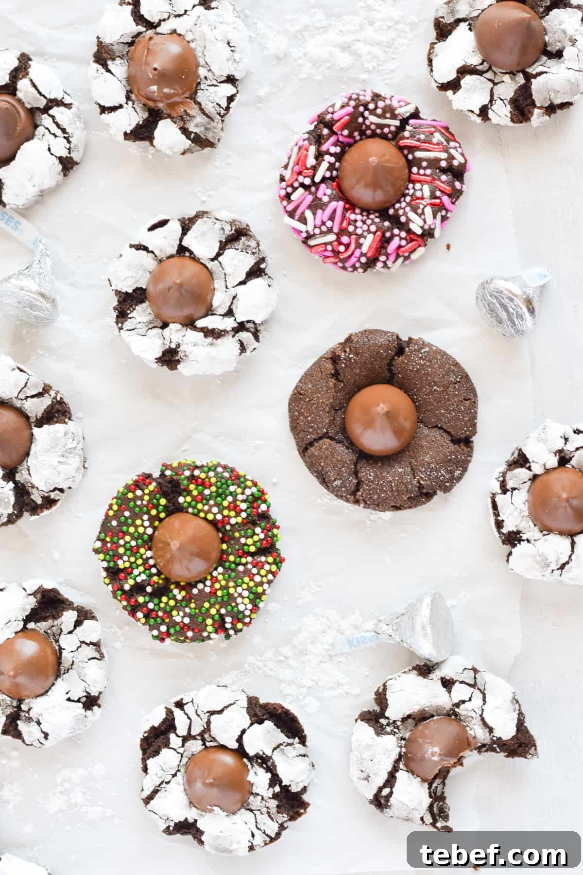 Cocoa Blossom Cookies Recipe: Crispy Chocolate Flower Cookies 9 cocoa blossom cookies rolled in different things: powder sugar, christmas sprinkles, pink and whtie valentines sprinkles, and granulated sugar.