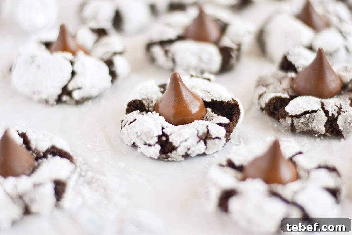 Cocoa Blossom Cookies Recipe: Crispy Chocolate Flower Cookies 10 chocolate kiss cookie surrounded by lots of cookies.