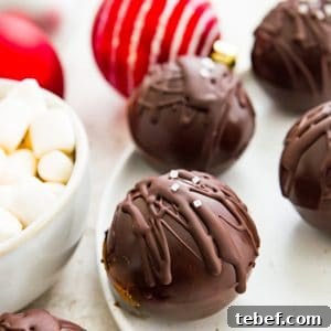 Vegan Hot Chocolate Bombs: Dairy-Free Paleo Recipe and How-To 14 Vegan Hot Chocolate Bombs Recipe