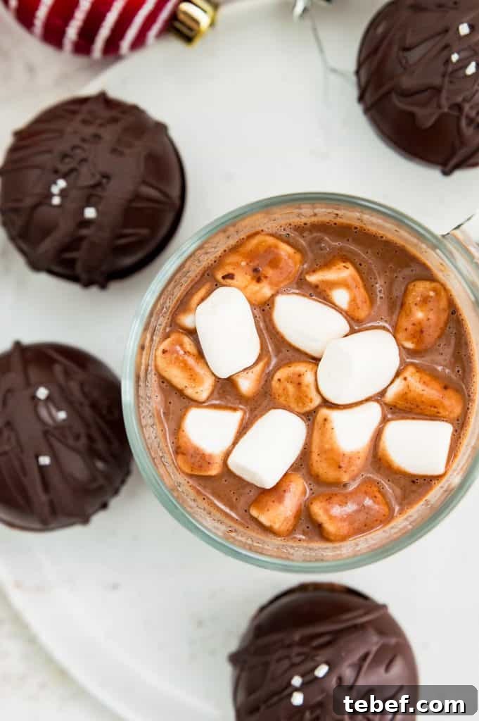Vegan Hot Chocolate Bombs: Dairy-Free Paleo Recipe and How-To 9 A glass mug filled with hot chocolate topped with mini marshmallows.