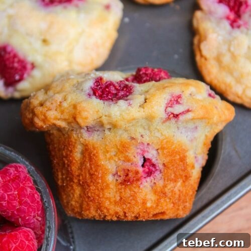 Lemon Raspberry Muffins Recipe with Zesty Glaze 11 img 19934 10