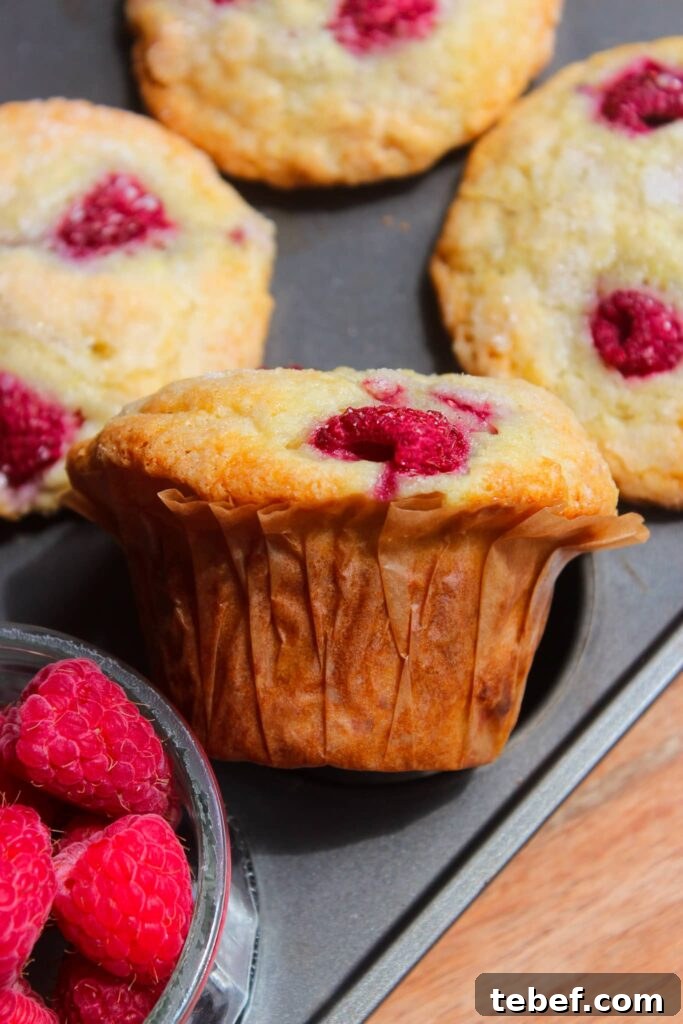 Lemon Raspberry Muffins Recipe with Zesty Glaze 10 img 19934 9