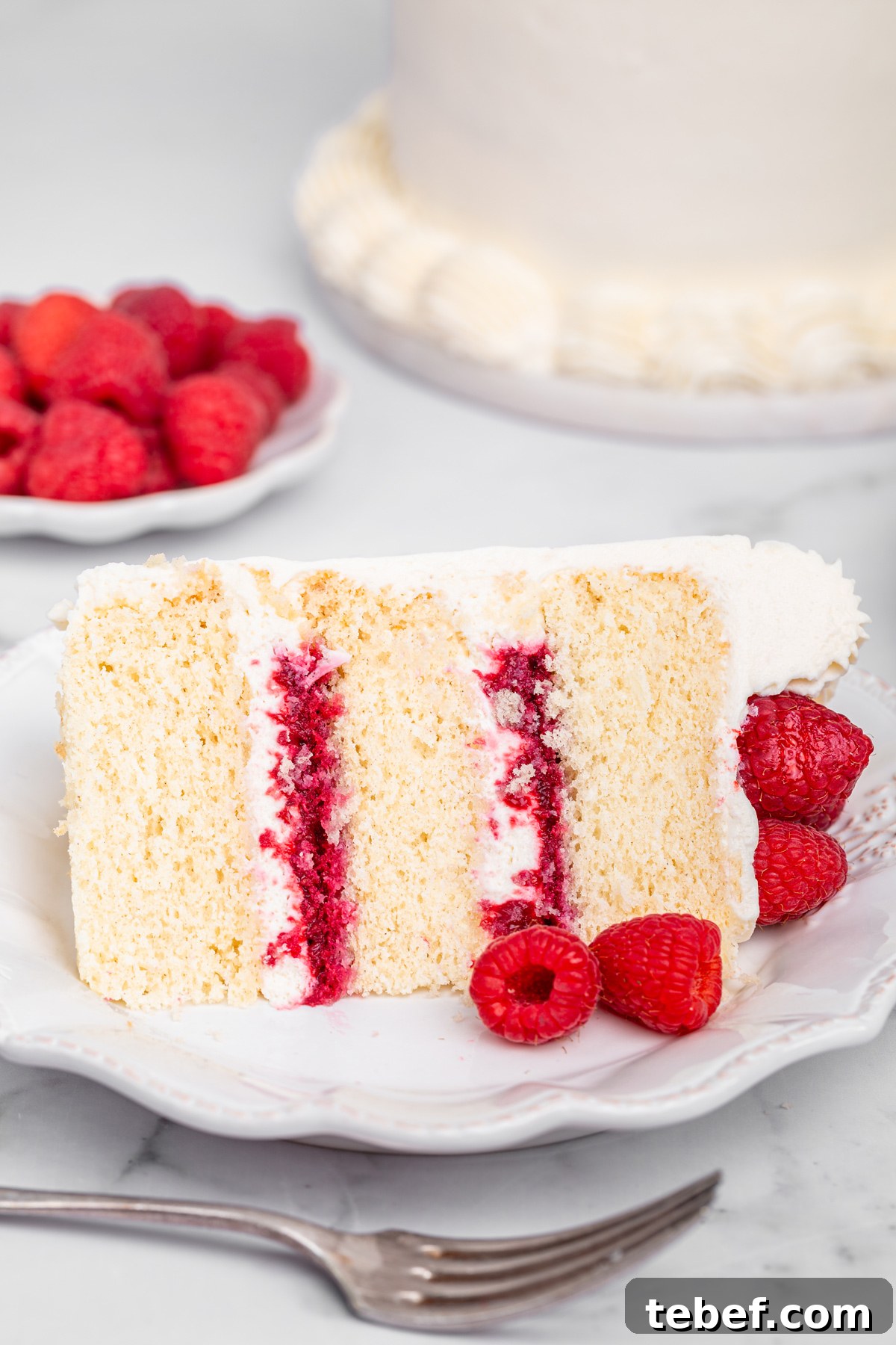 Raspberry Mascarpone Layer Cake with Fresh Cream Filling 12 Slice of raspberry mascarpone cake on a dessert plate