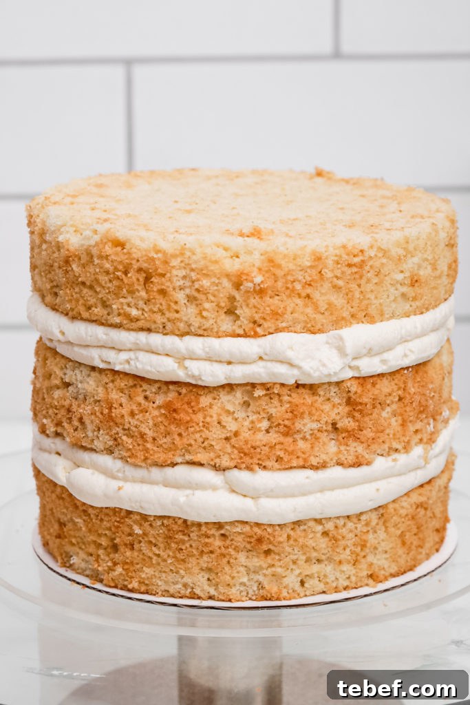 Raspberry Mascarpone Layer Cake with Fresh Cream Filling 10 Assembled raspberry mascarpone cake before frosting