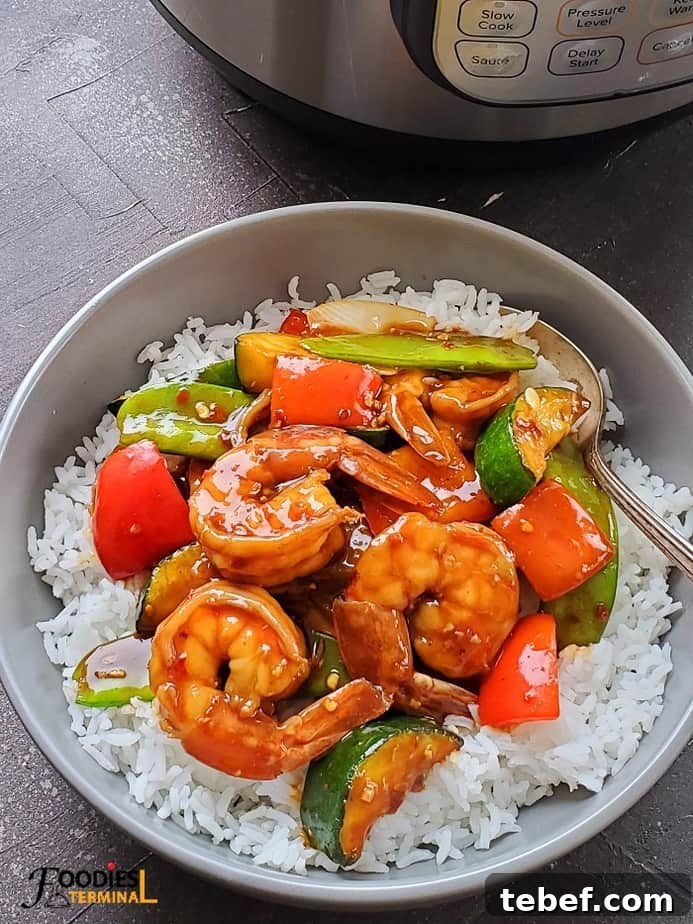 Instant Pot Shrimp Stir-Fry: Quick Garlic Soy Recipe 2 instant pot stir fry shrimp on white rice in a grey bowl with a spoon