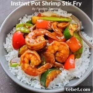 Instant Pot Shrimp Stir-Fry: Quick Garlic Soy Recipe 8 instant pot stir fry shrimp on white rice in a grey bowl