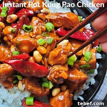 Instant Pot Shrimp Stir-Fry: Quick Garlic Soy Recipe 10 Kung Pao chicken on a bed of rice with chopsticks trying to lift a piece of chicken