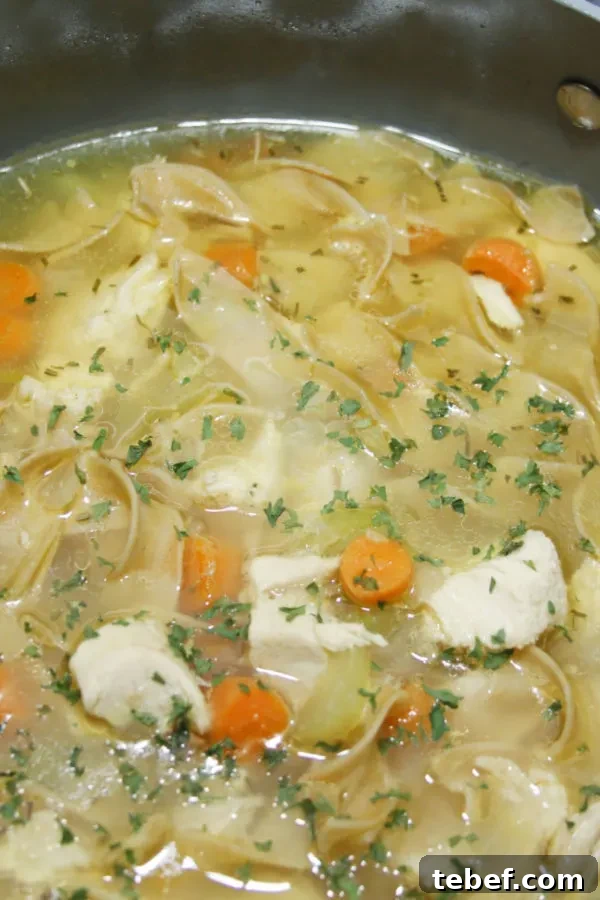 chicken noodle soup in pot 