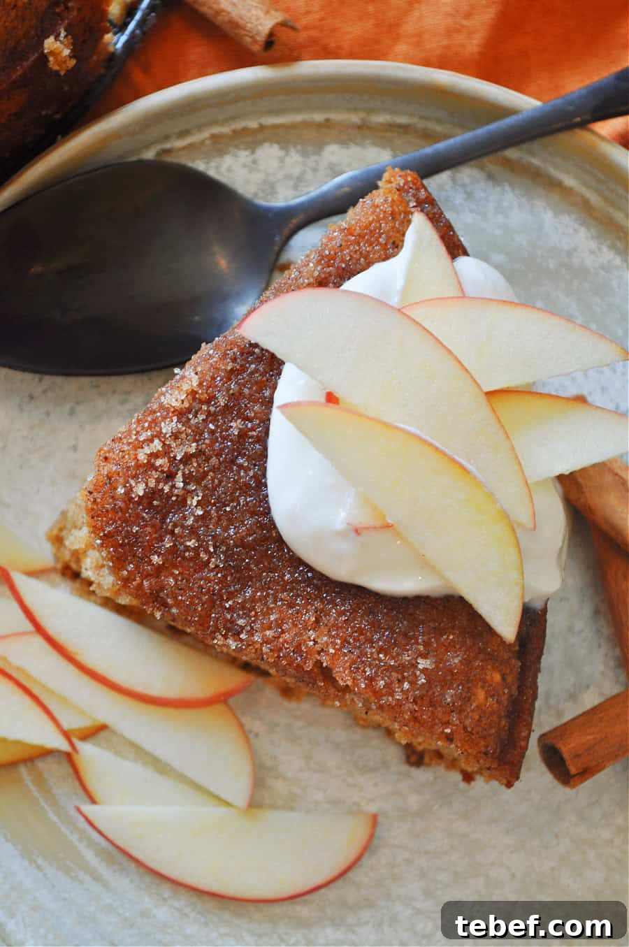Vegan Apple Cider Donut Cake Recipe: Moist Spiced Bundt Cake 3 img 20798 3