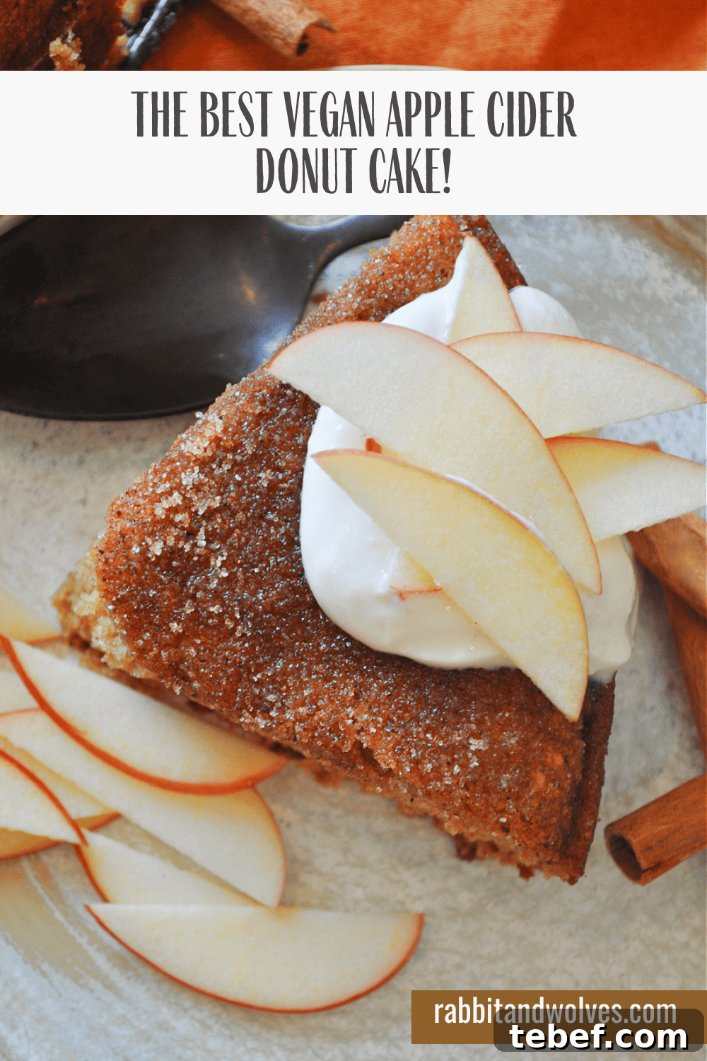 Vegan Apple Cider Donut Cake Recipe: Moist Spiced Bundt Cake 6 img 20798 6