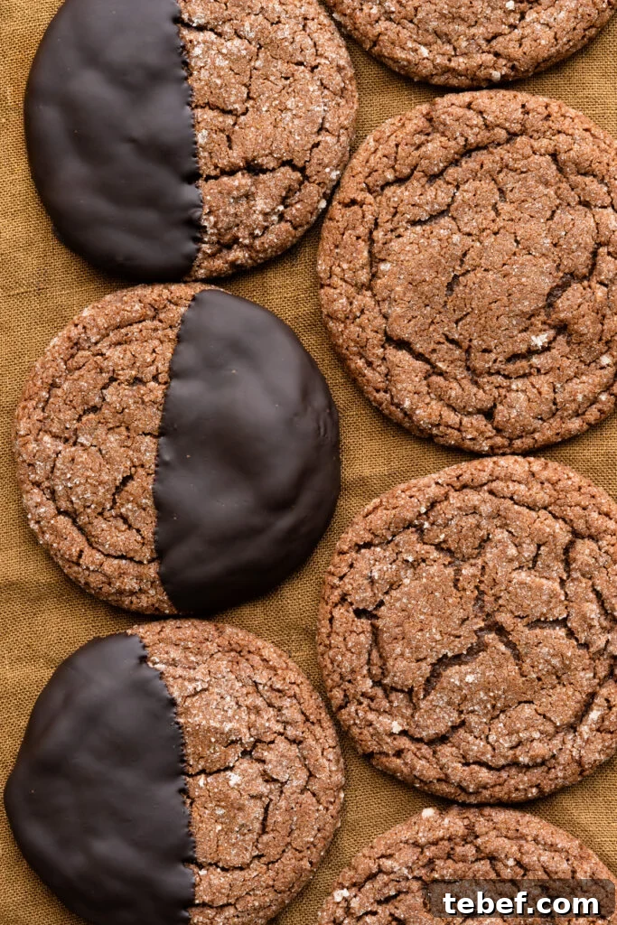 Chewy Chocolate Gingerbread Cookies Recipe for Holiday Baking 2 img 2113 1