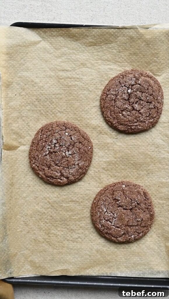 Chewy Chocolate Gingerbread Cookies Recipe for Holiday Baking 11 Overhead of three bake chocolate cookies on a parchment paper lined tray.