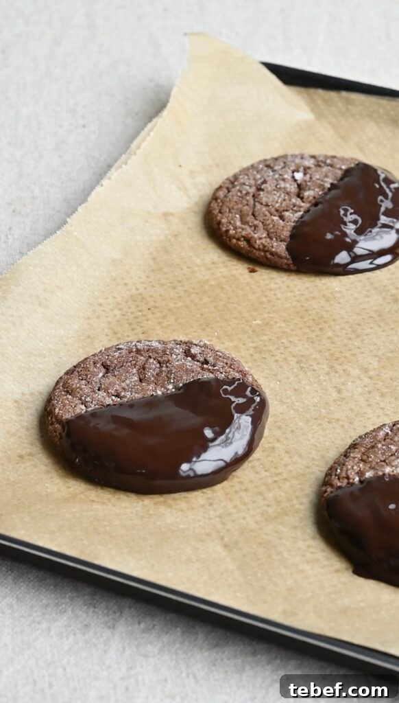 Chewy Chocolate Gingerbread Cookies Recipe for Holiday Baking 13 Chocolate cookies dipped halfway with shiny melted chocolate on parchment paper.