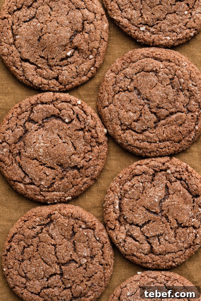 Chewy Chocolate Gingerbread Cookies Recipe for Holiday Baking 14 Overhead view of chocolate crinkle top ginger cookies on a dark tablecloth.