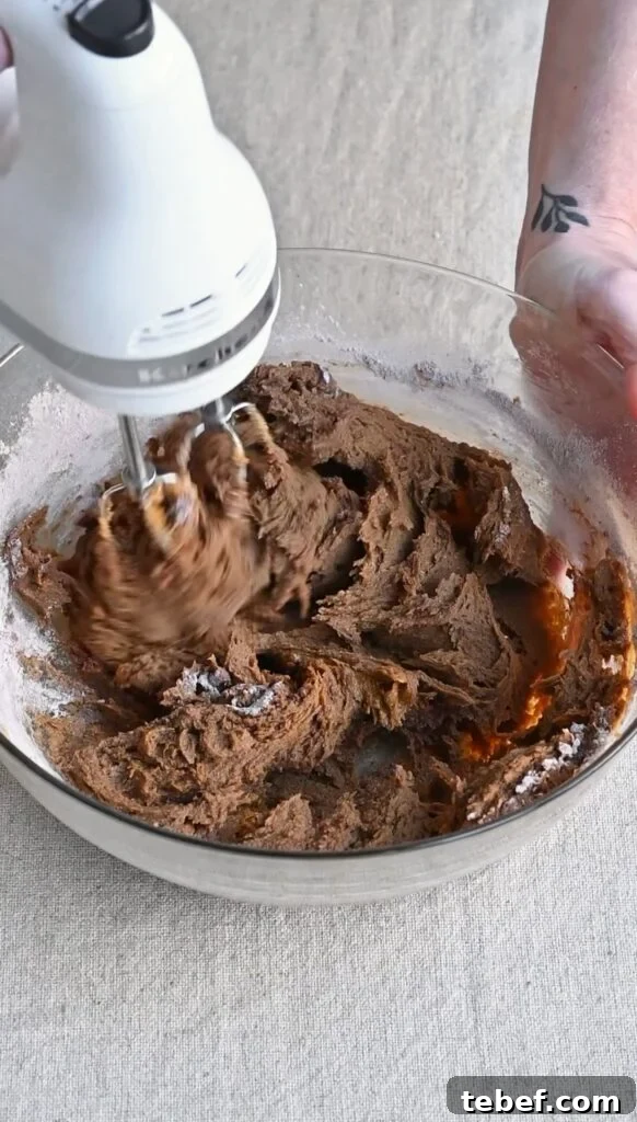 Chewy Chocolate Gingerbread Cookies Recipe for Holiday Baking 7 Hand mixer combining flour into wet ingredients in a mixing bowl.