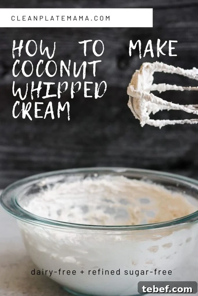 Coconut Whipped Cream Recipe: Light, Dairy-Free Topping in Minutes 8 how to make coconut whipped cream pin