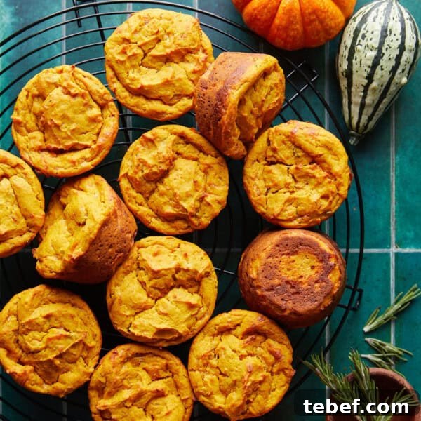 Savory Bacon and Cheddar Muffins for Breakfast or Brunch 7 img 21864 6
